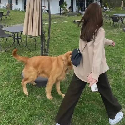 此情不渝